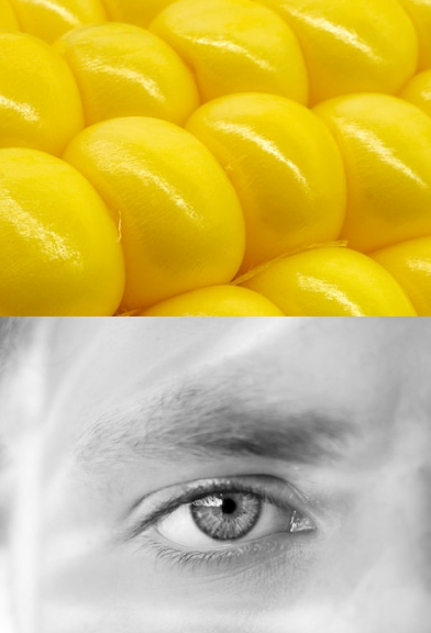 kijk naar wat je eet met yayot en probeer de juiste voeding die bij jou past wist je dat citroen boordevol vitamine c zit