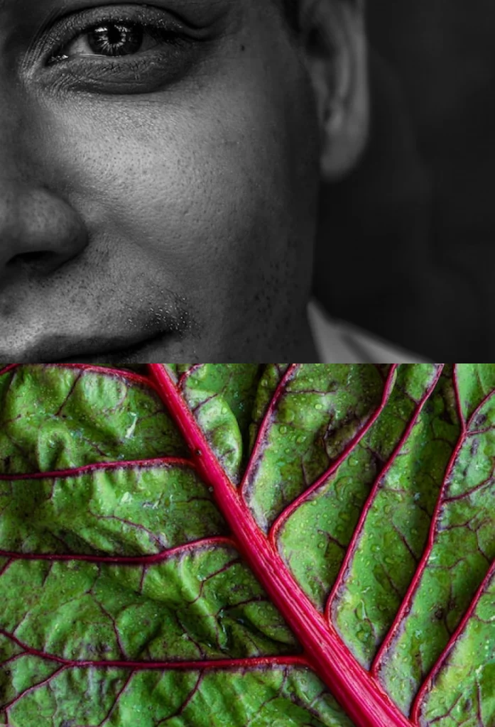 Contact-formulier -Two pictures with on top a face of a boy in close up and on the bottom a beetroot leaf with water for Yayot